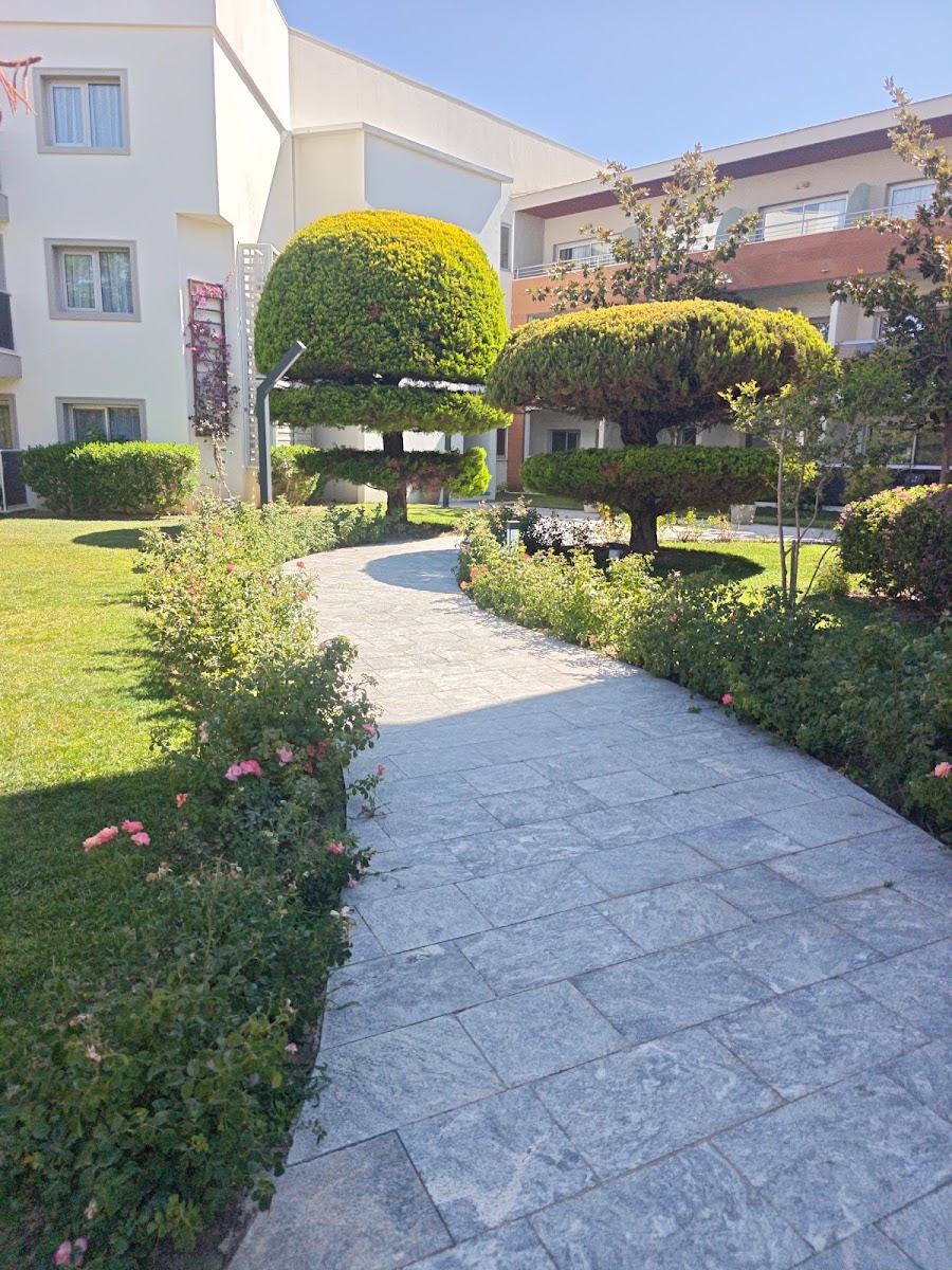 Palm Wings Beach Resort & Spa Kuşadası — photo 3
