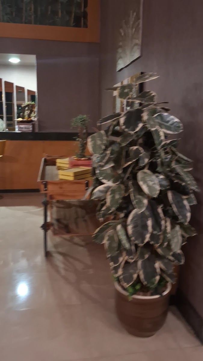 Palmiye Hotel — fotoğraf 3