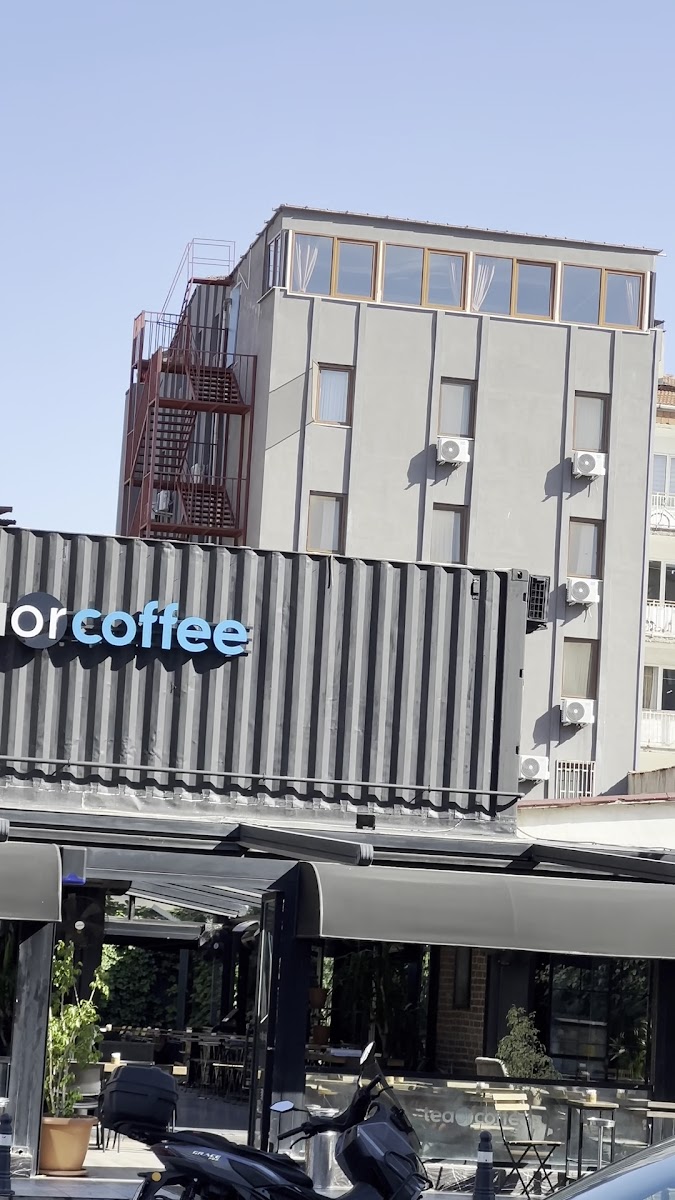 Palmiye Royale Palace — fotoğraf 3