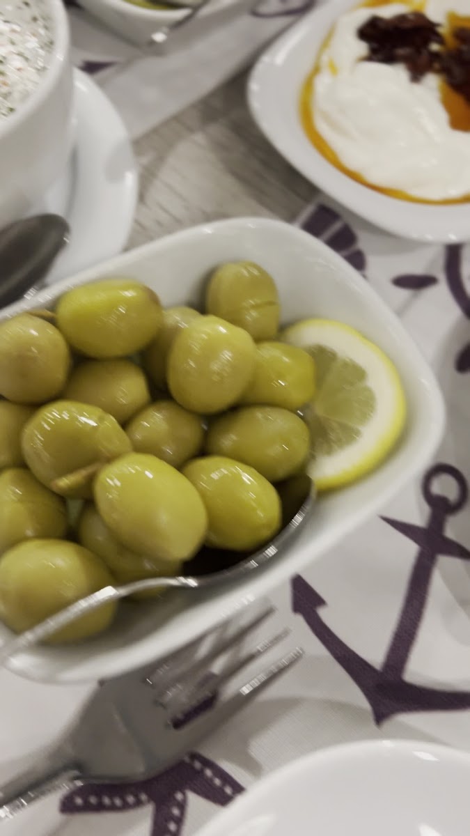 Pamuk Kardeşler Cemonun Yeri — fotoğraf 3