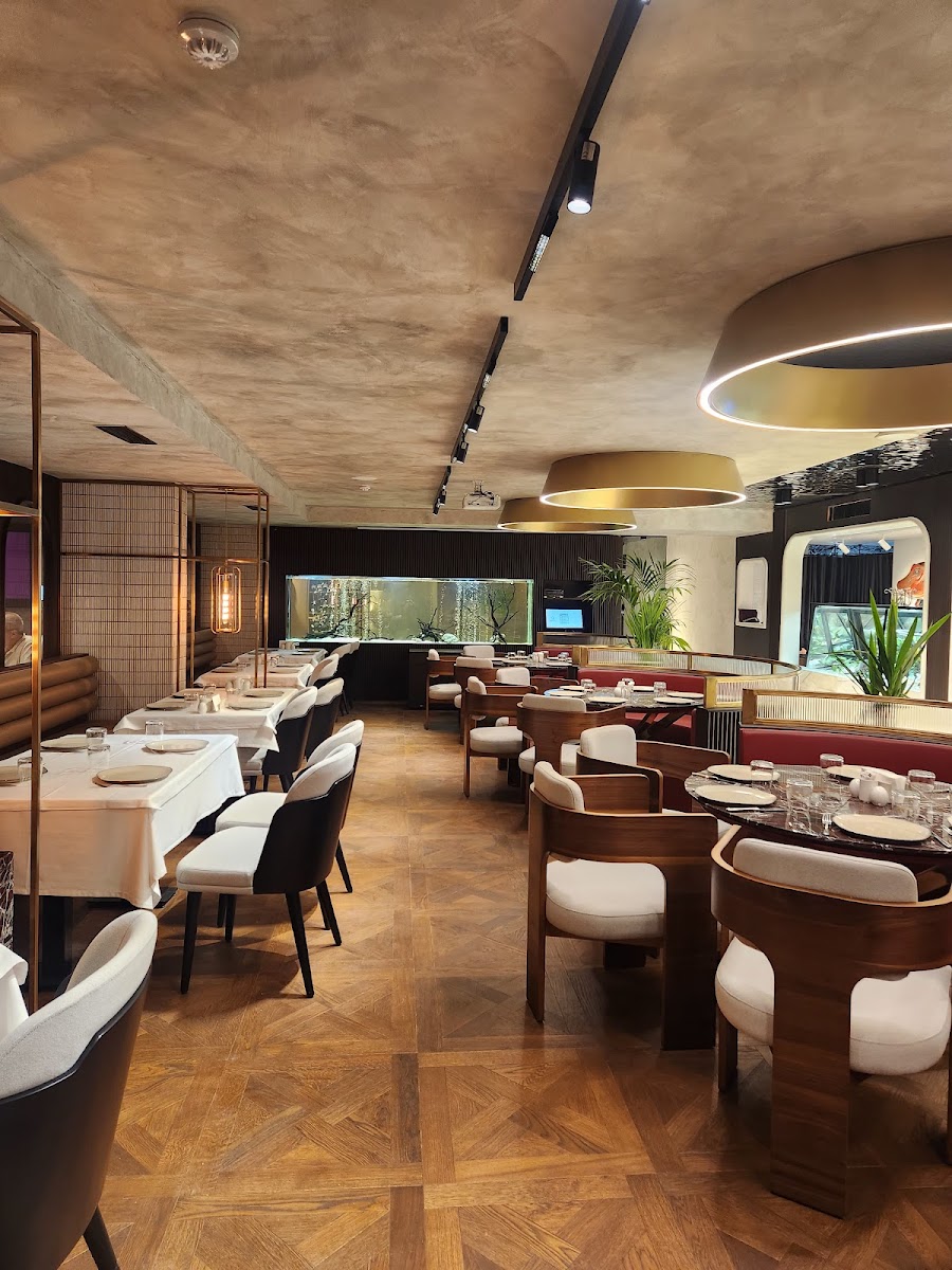 Pamuk Kardeşler Cemonun Yeri — fotoğraf 5