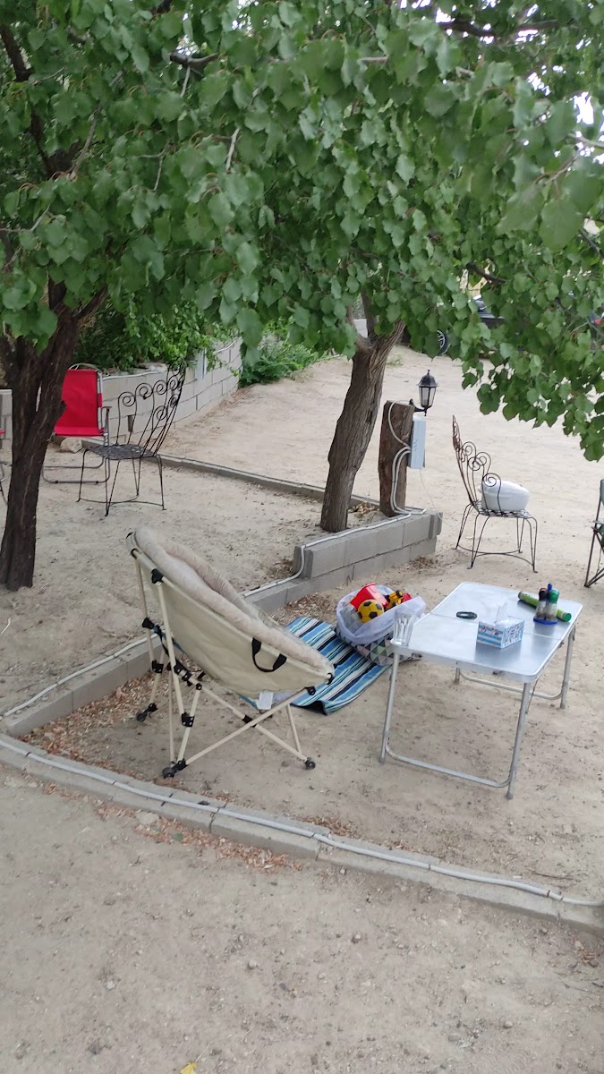 Panorama Camping — photo 11