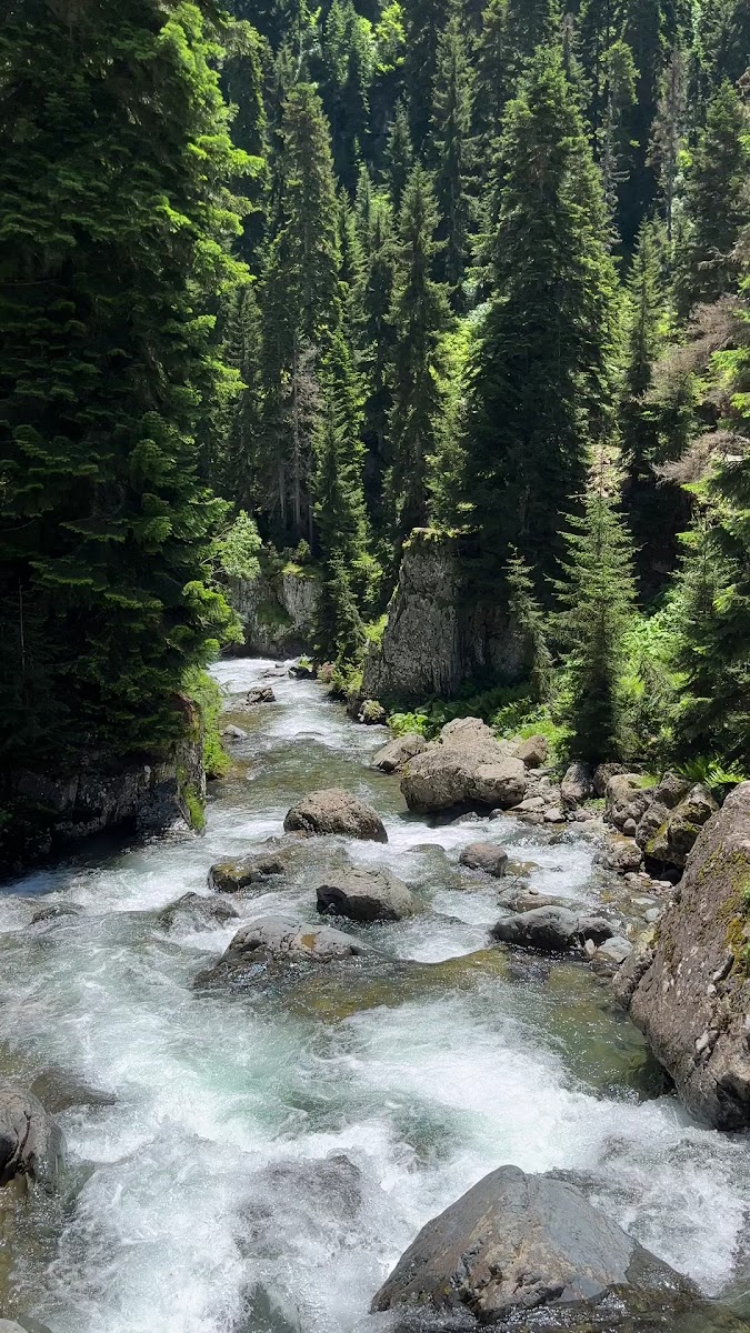 Papart Düzü(Papart Yaylası) — fotoğraf 3