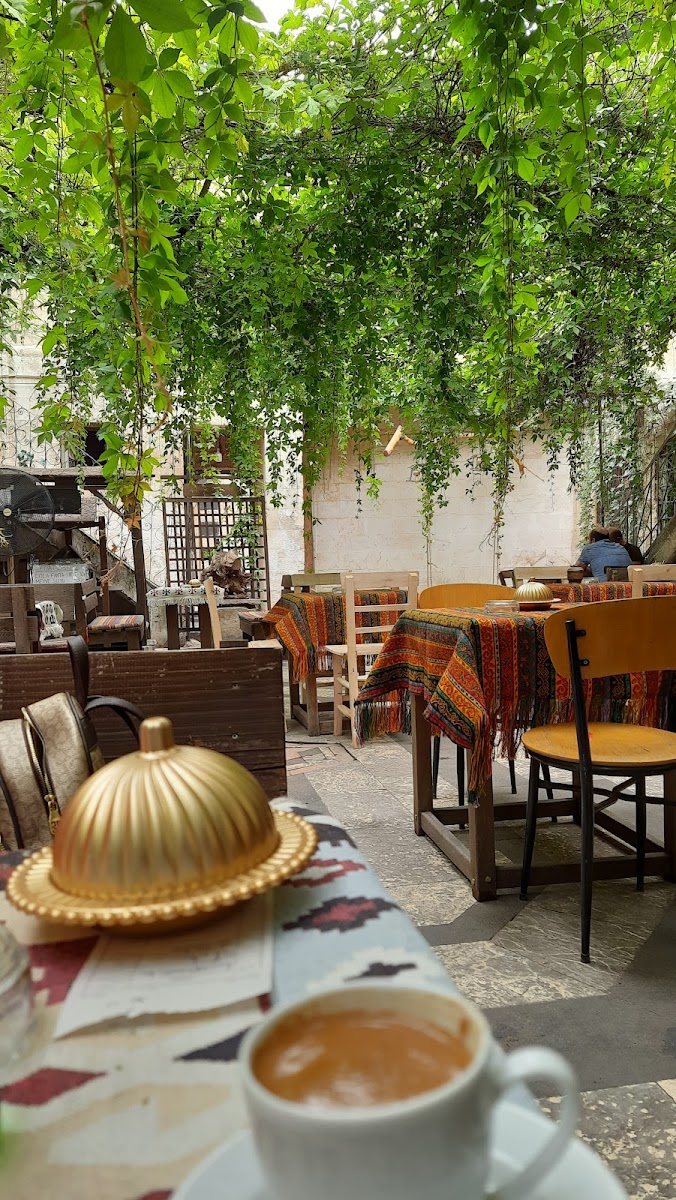 Papirüs — fotoğraf 4