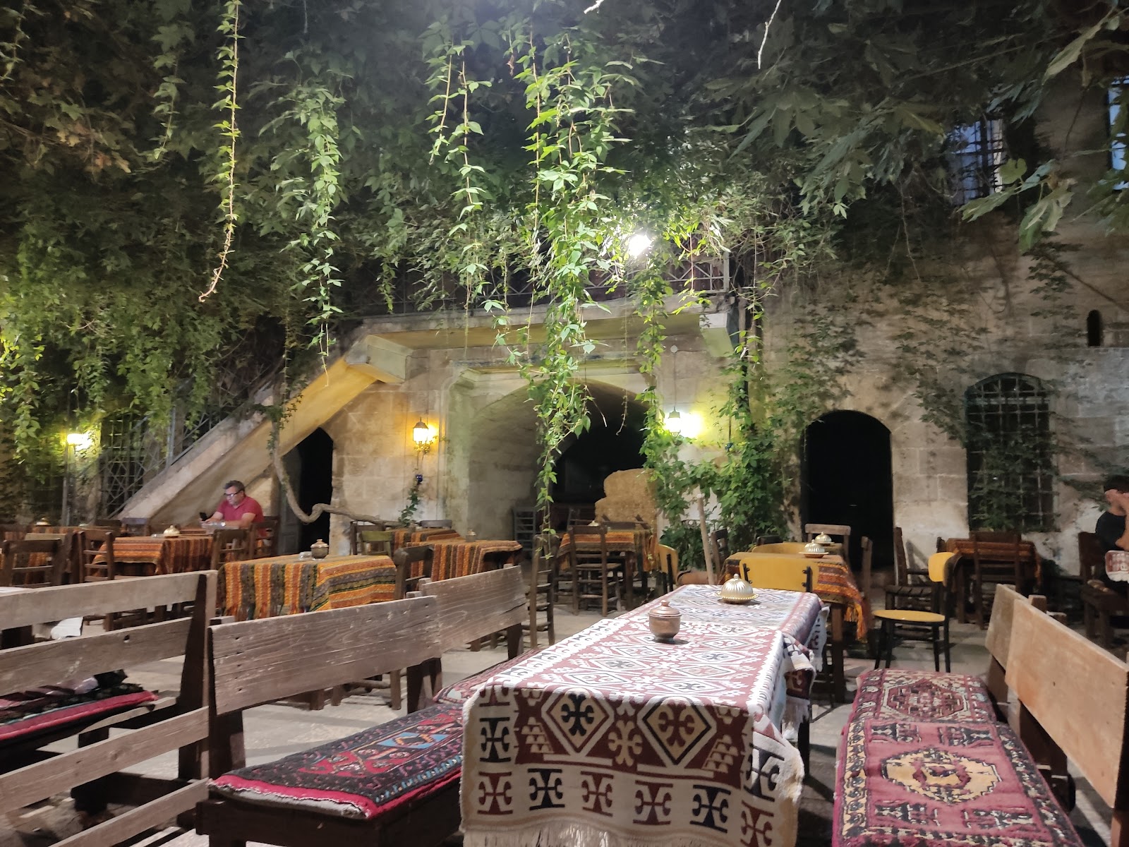 Papirüs — fotoğraf 5