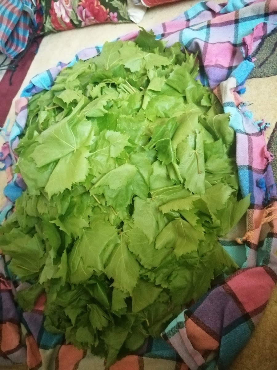 Parıldıyan Pide Salonu — photo 3