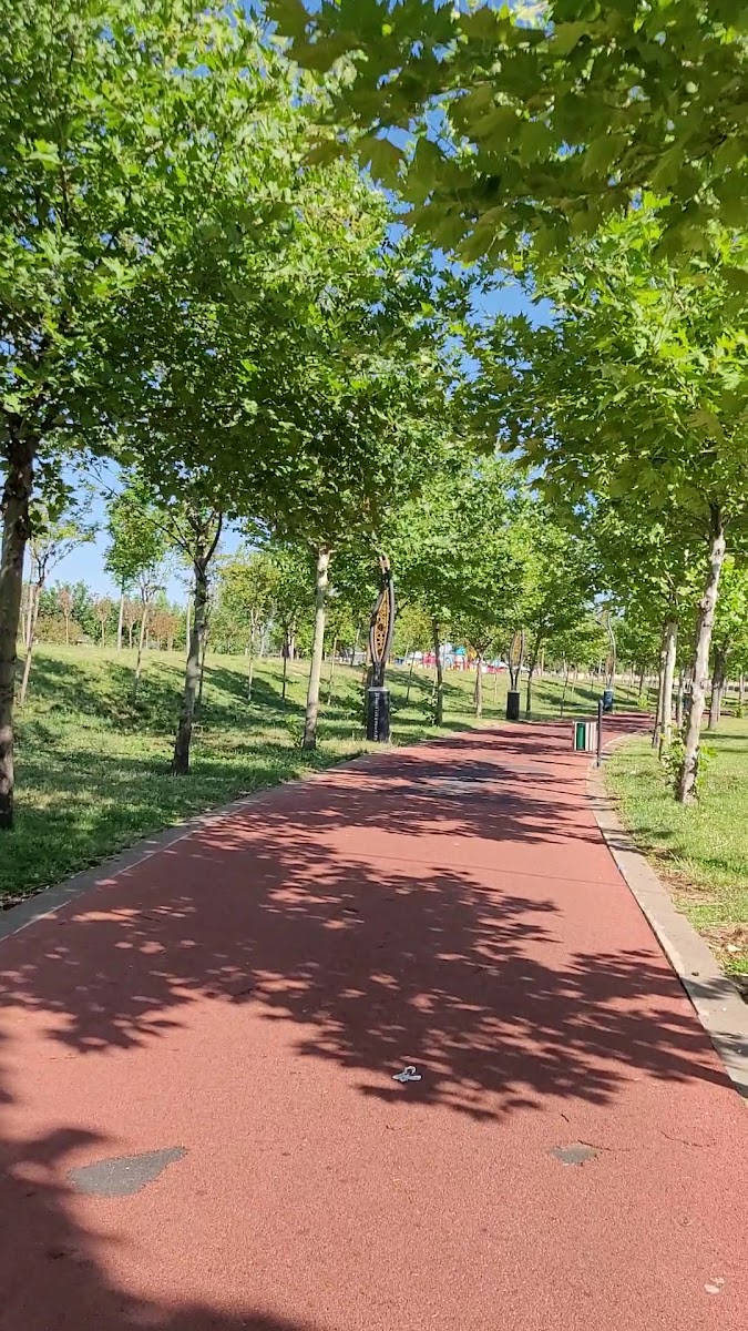 Park 75 — fotoğraf 2