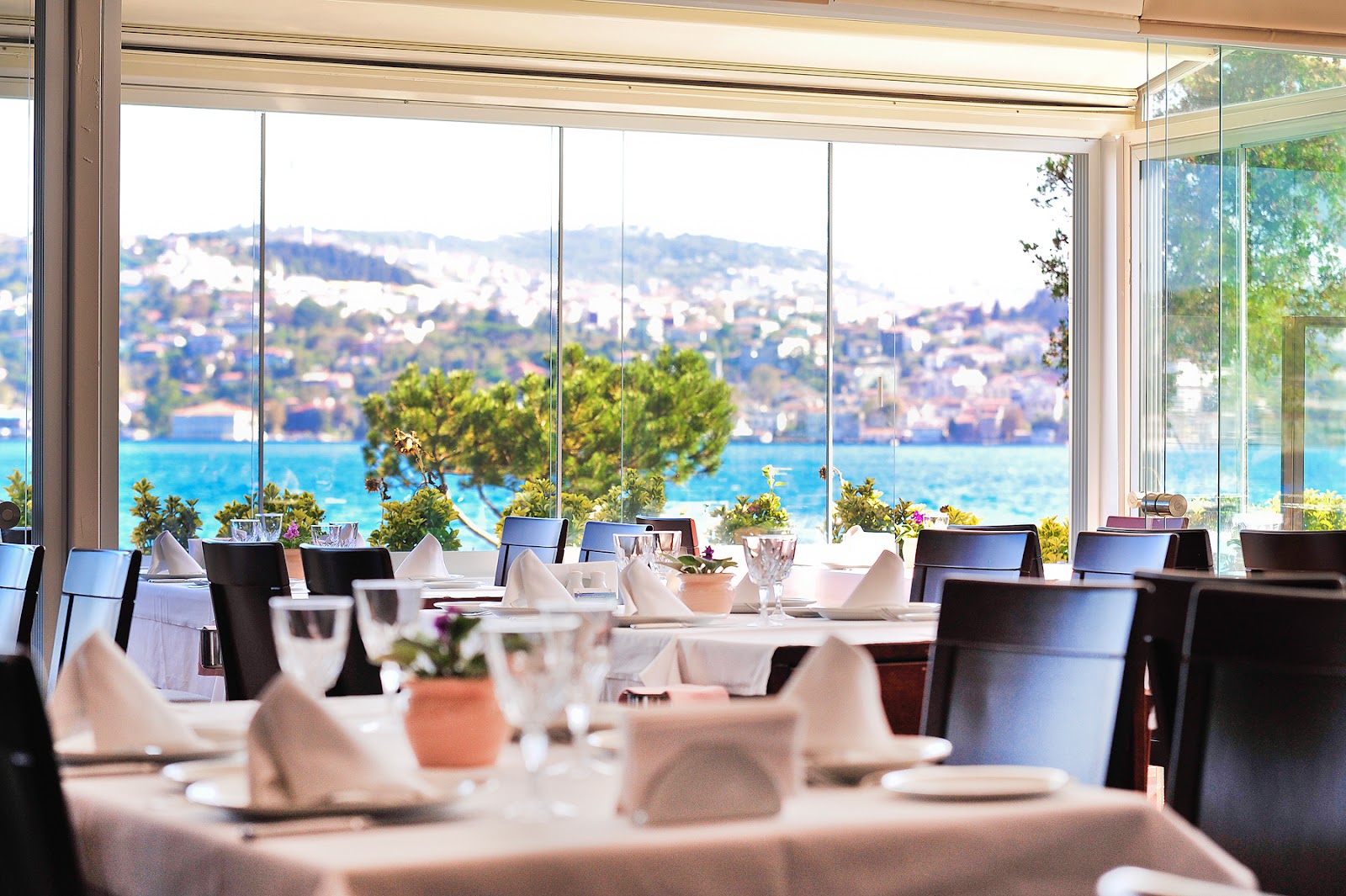 Park Fora Fish & Seafood Restaurant — fotoğraf 1