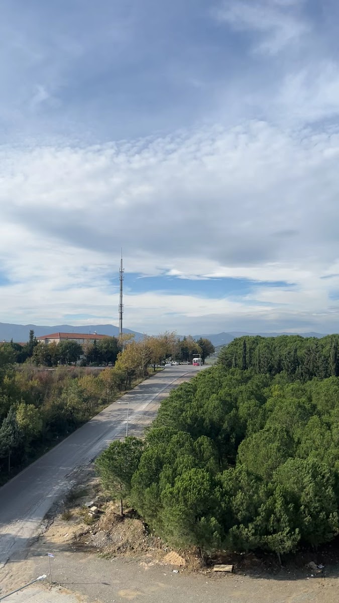 Park Inn by Radisson Yalova City Center — fotoğraf 3