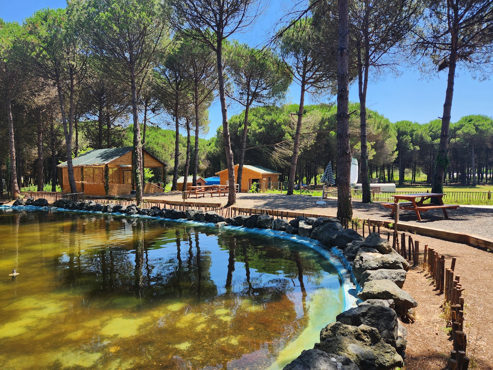 Park Orman Çarşamba — photo 2