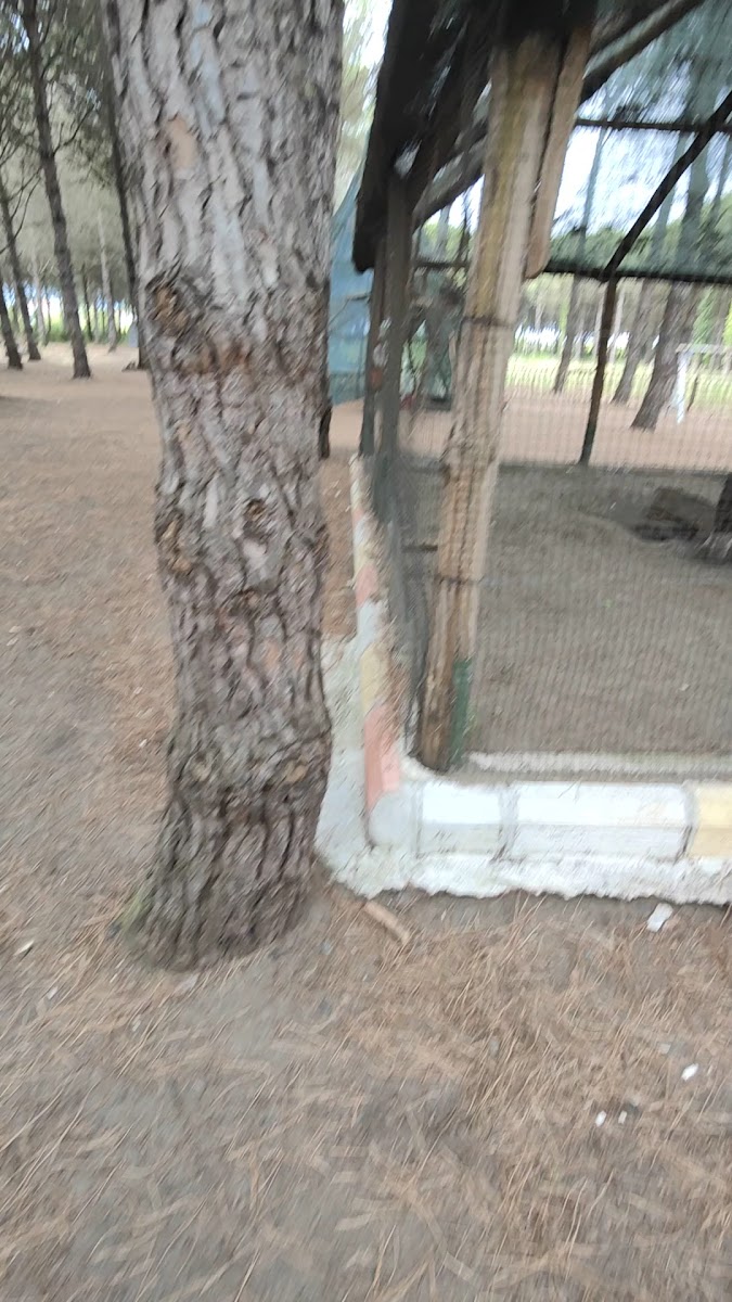 Park Orman Çarşamba — photo 3