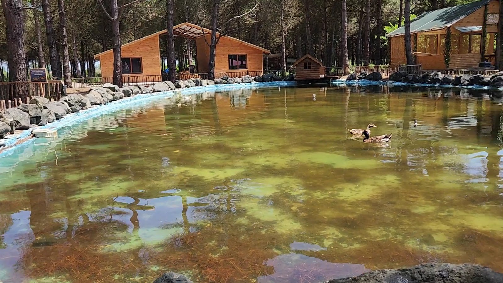 Park Orman Çarşamba — photo 4