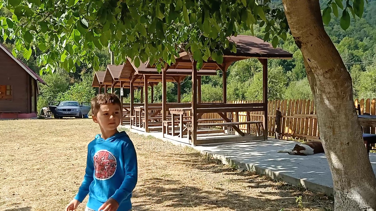 Parkılıca — fotoğraf 4