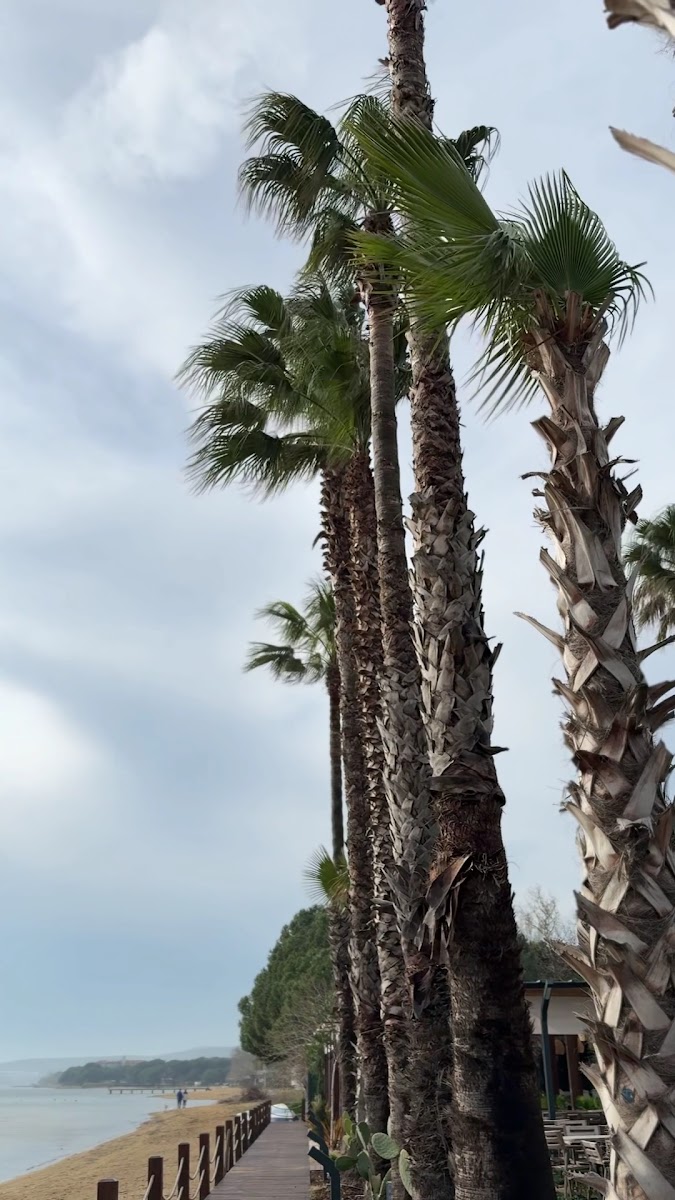 Parmos Otel — fotoğraf 3