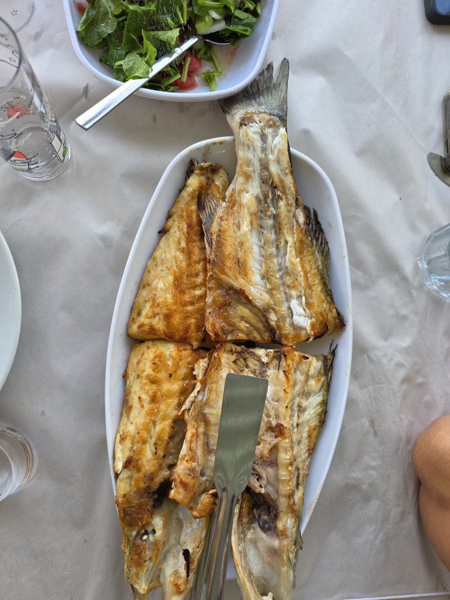 Partal Kardeşler Balık Restorant — photo 5