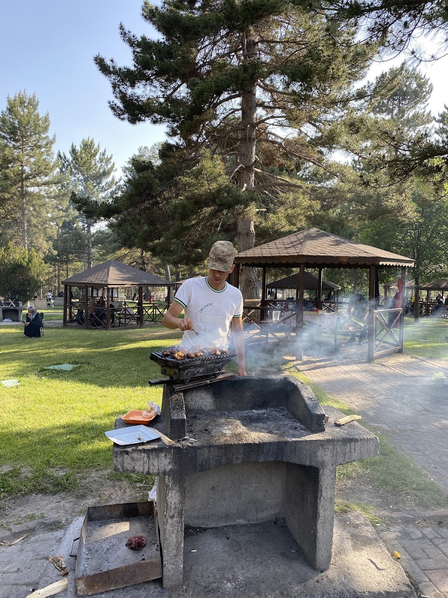 Paşabahçe -Sivas — fotoğraf 1