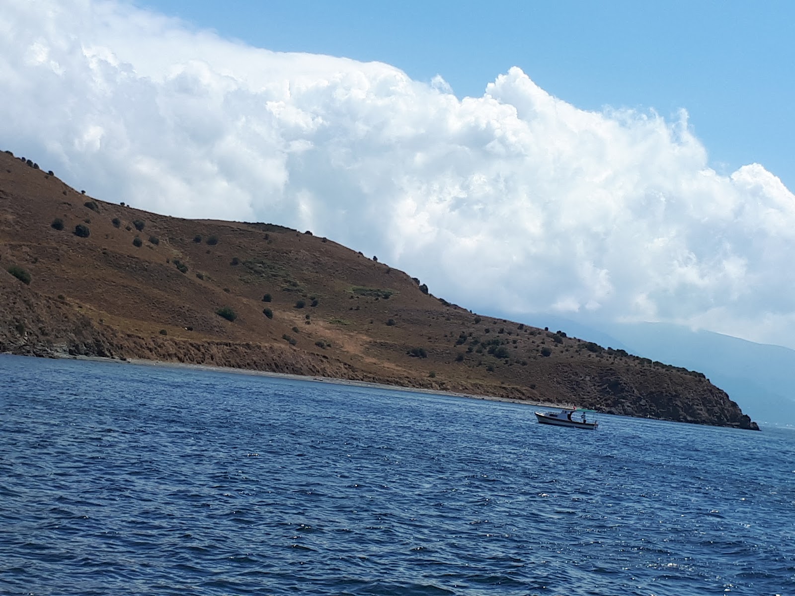 Paşalimanı Adası — photo