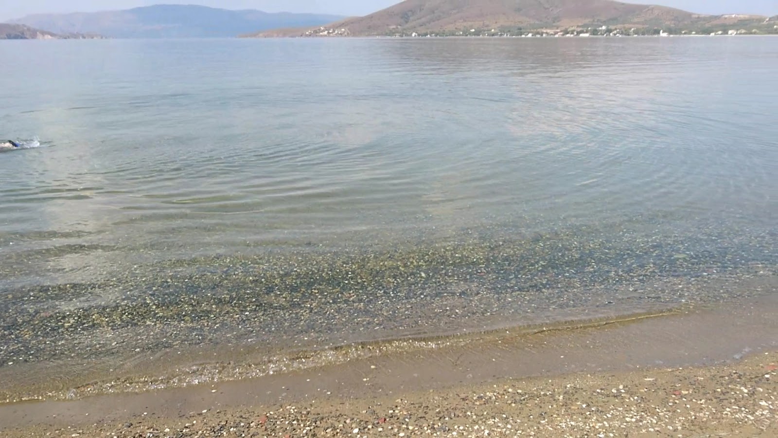 Paşalimanı Adası — photo 3