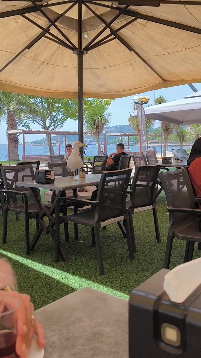 Pastell Cafe — photo 3