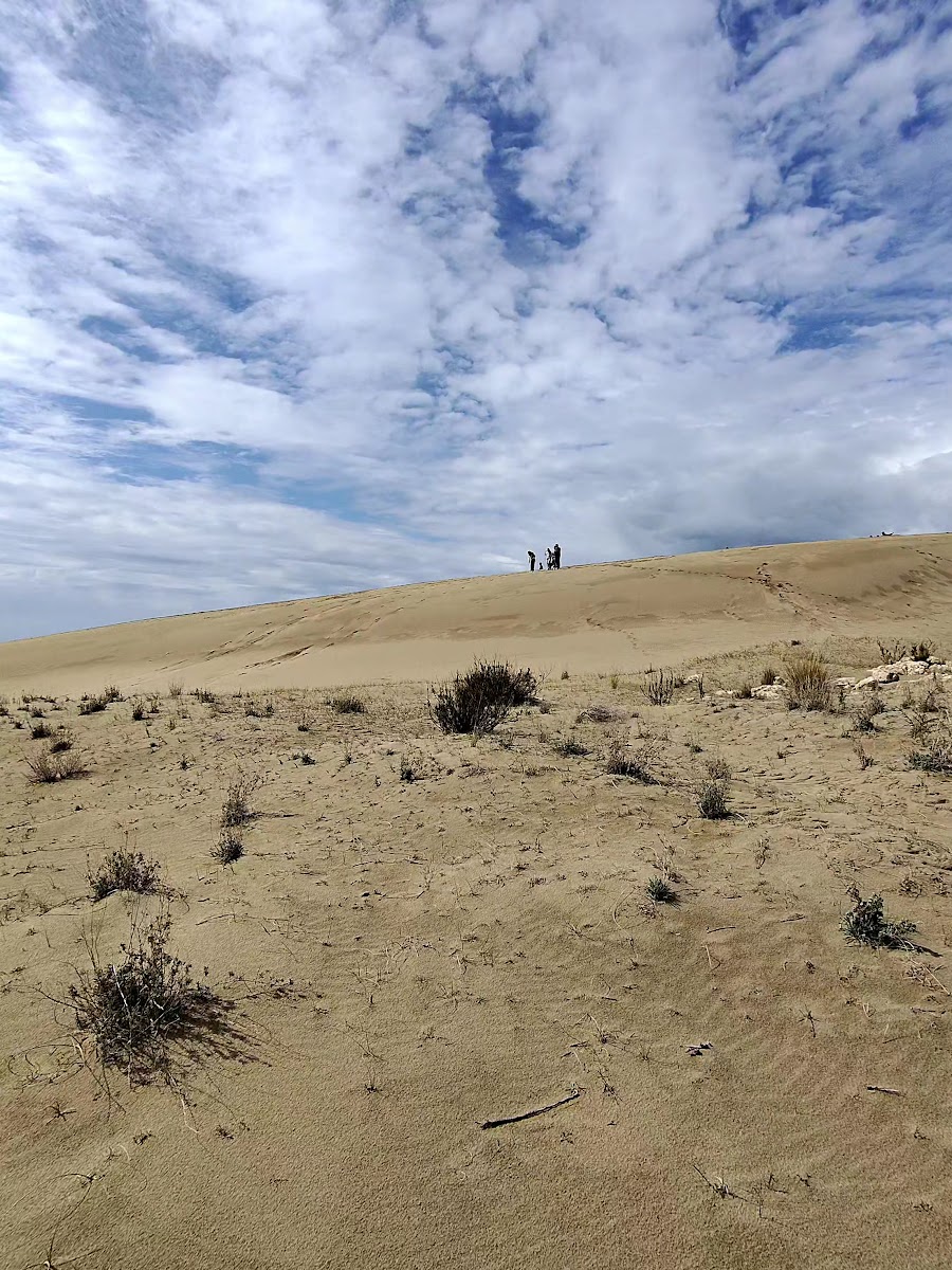 Patara Kum Tepeleri — fotoğraf 2