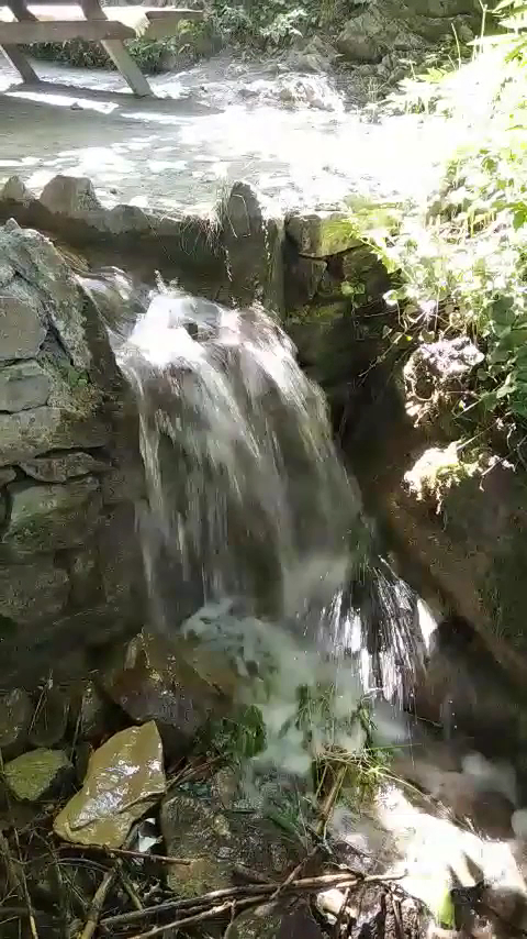 Pazar Değirmen — fotoğraf 3