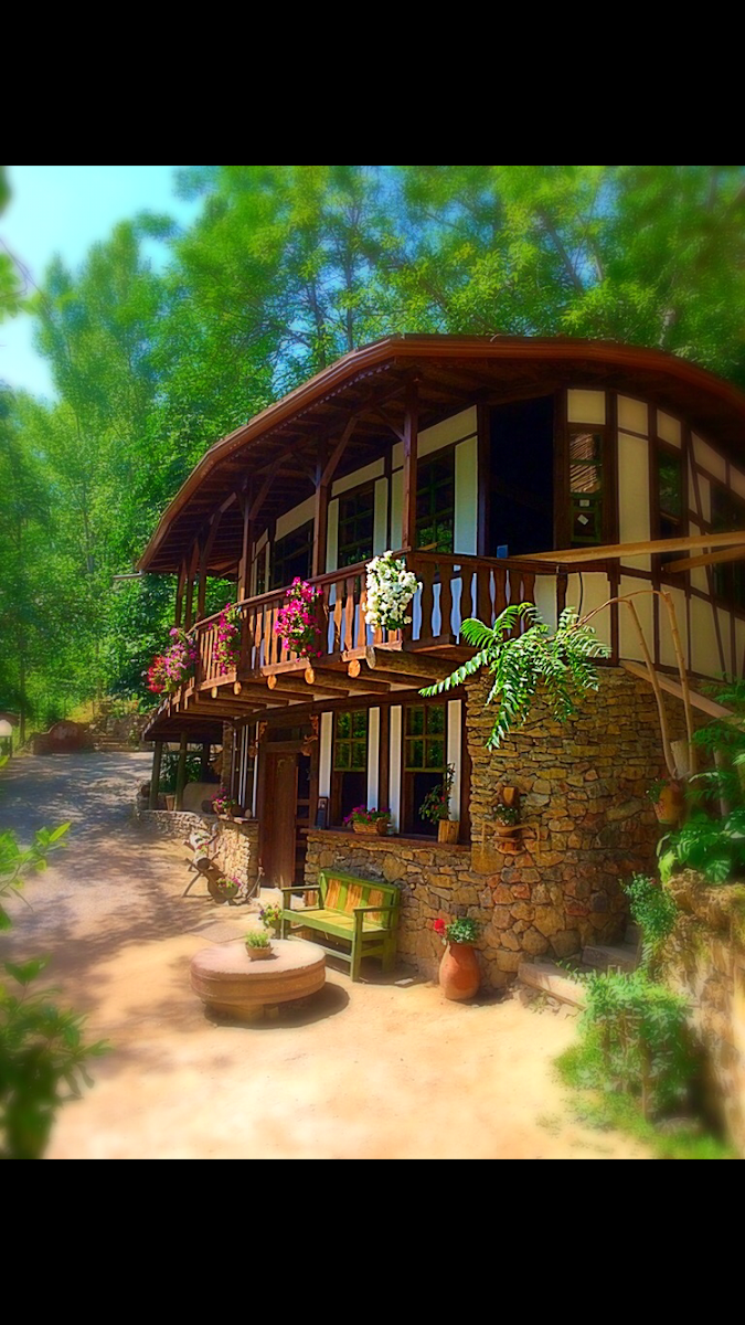 Pazar Değirmen — fotoğraf 7