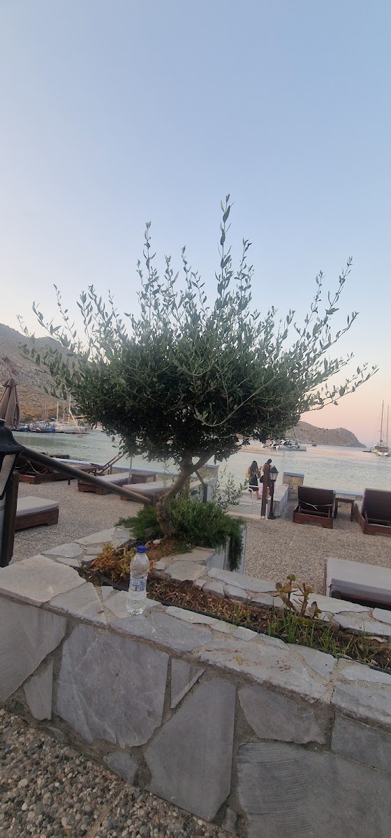 Pedi Beach Hotel — photo 3
