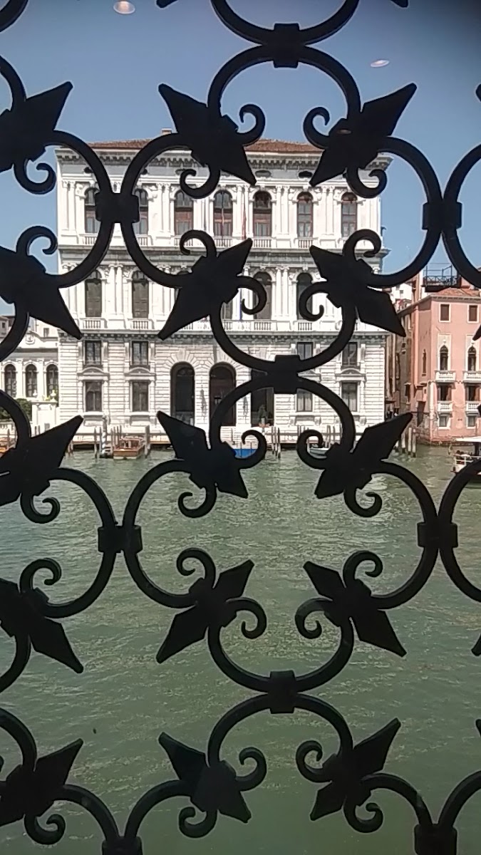 Peggy Guggenheim Collection — photo 3