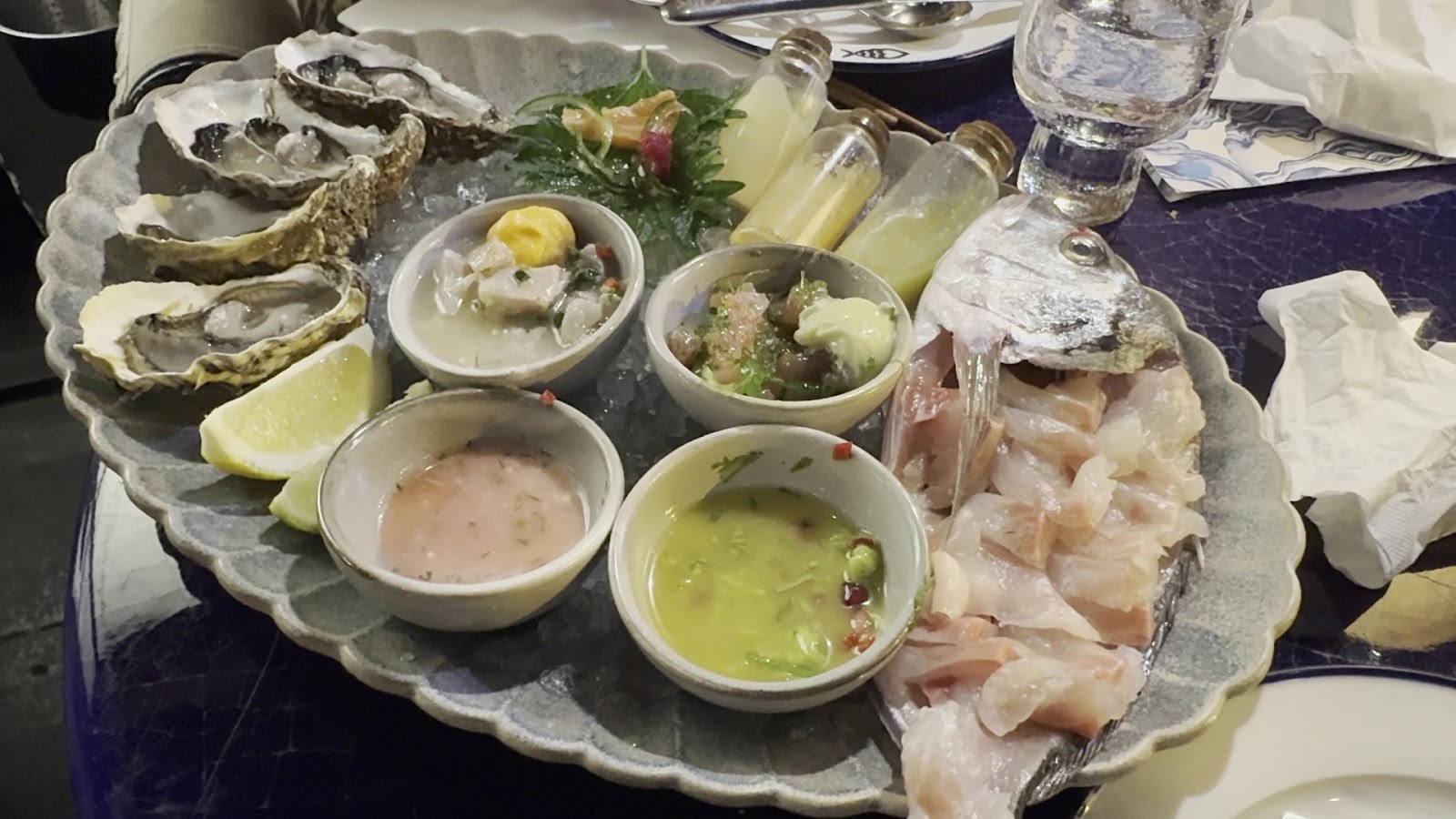 Peixes - Bonaparte — fotoğraf 3