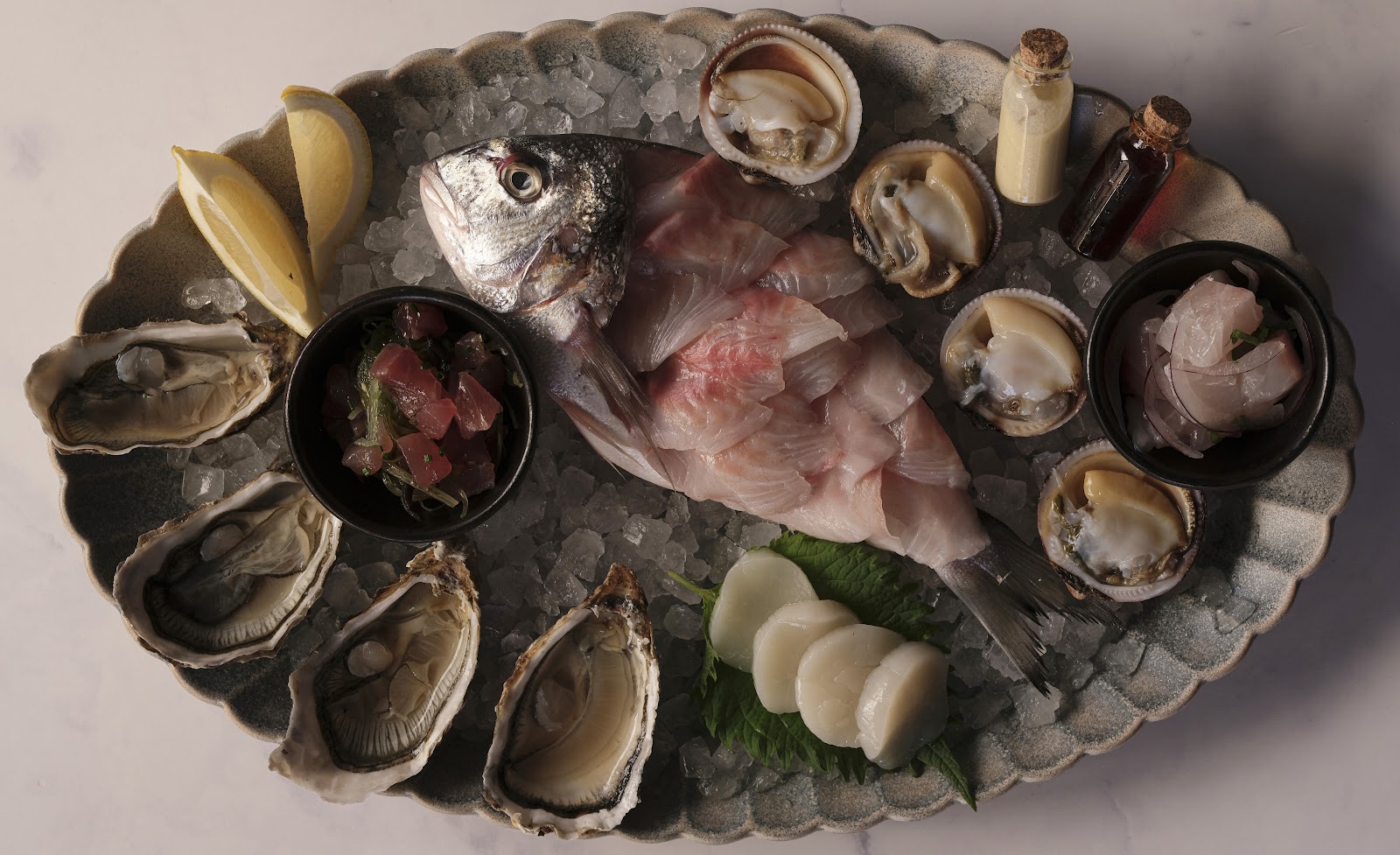 Peixes - Bonaparte — fotoğraf 5