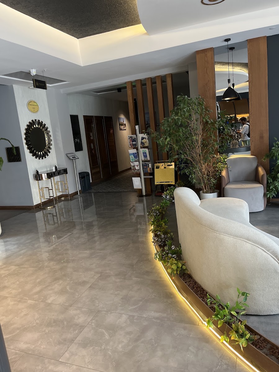 Pereira Hotel Samsun — photo 3