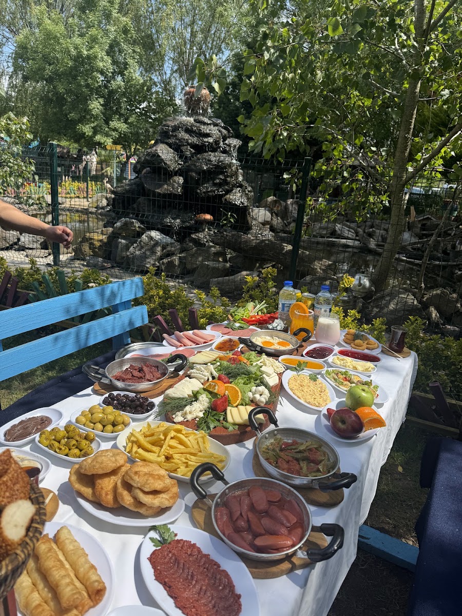PİKNİK SEFASI — photo 5