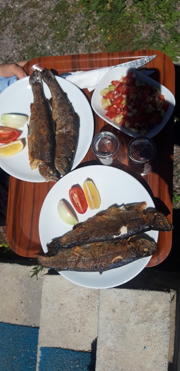 Pınarbaşı Alabalık Yöresel Lezzetler Lokantası — fotoğraf