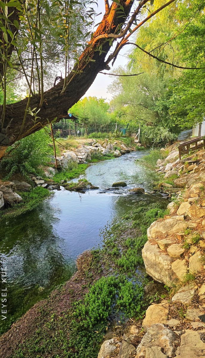 PINARBAŞI (Bünyan) — photo 3