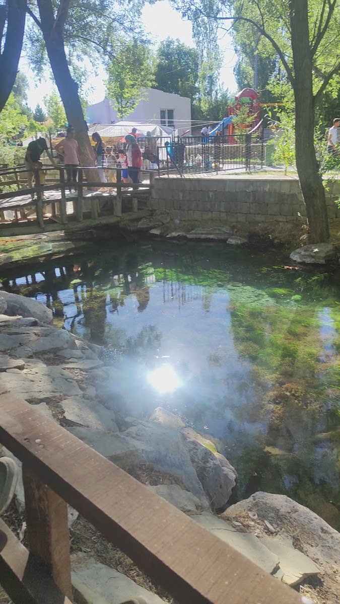 PINARBAŞI (Bünyan) — photo 4