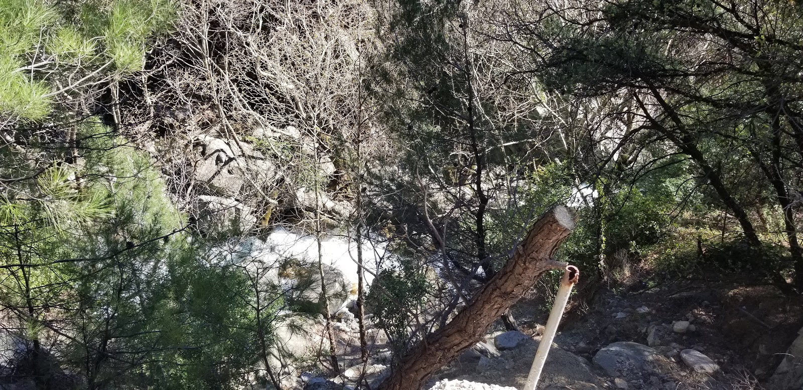 Pınarbaşı - Kaz Dağı Milli Parkı — fotoğraf 2