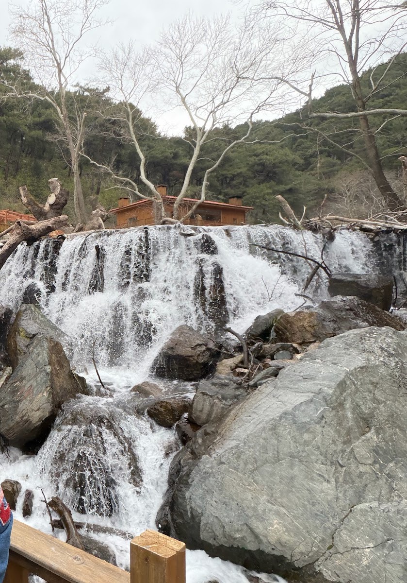 Pınarbaşı Piknik Alanı — fotoğraf 2