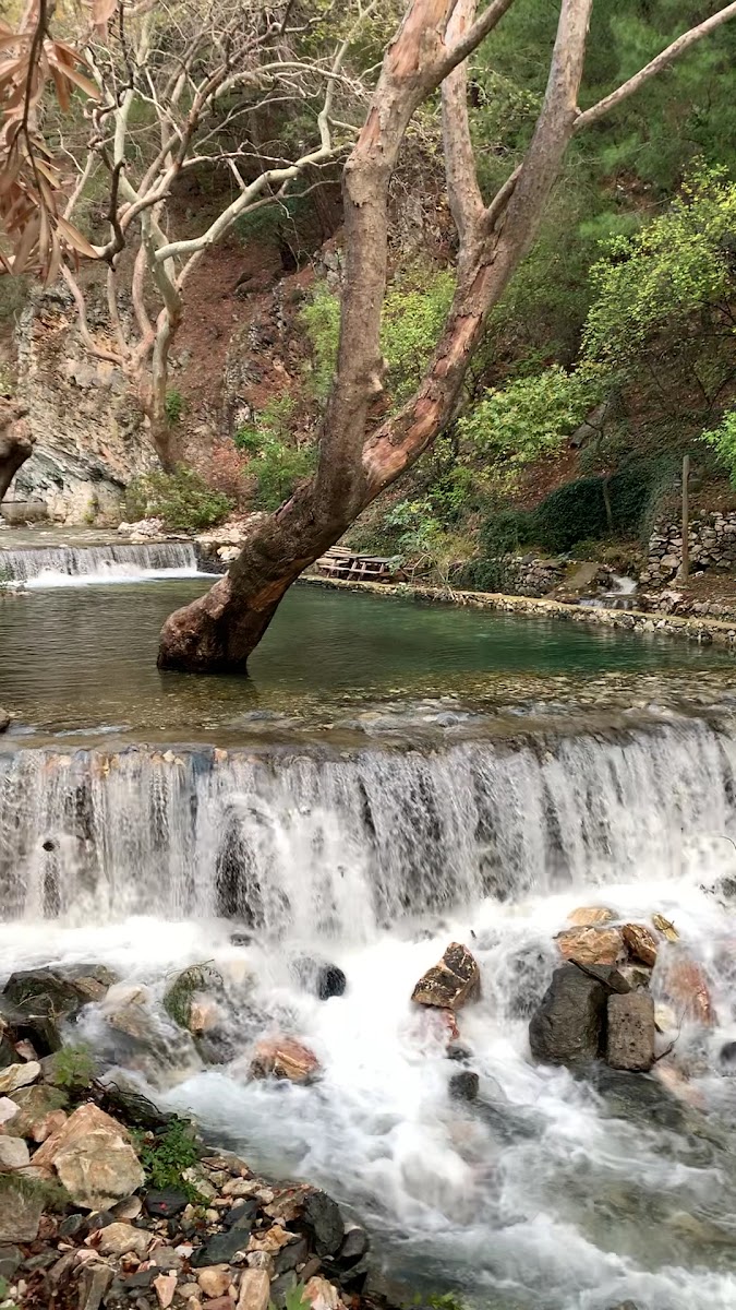 Pınarbaşı Piknik Alanı — fotoğraf 3