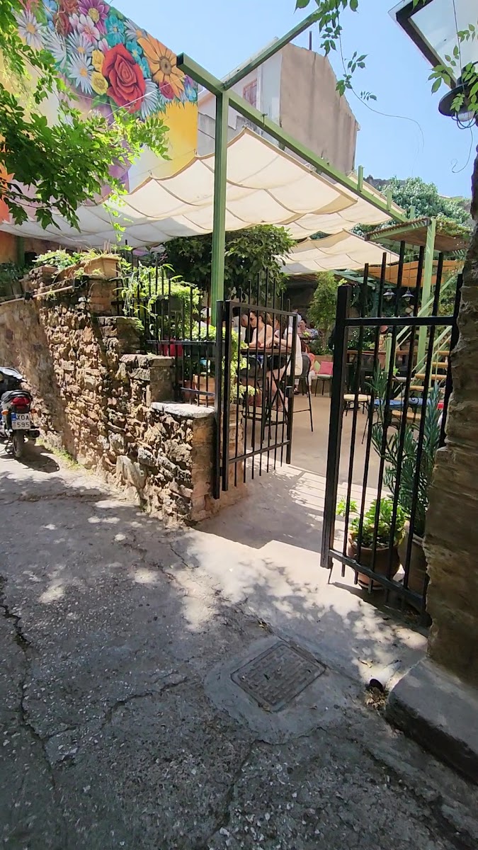 Piperoriza — photo 3