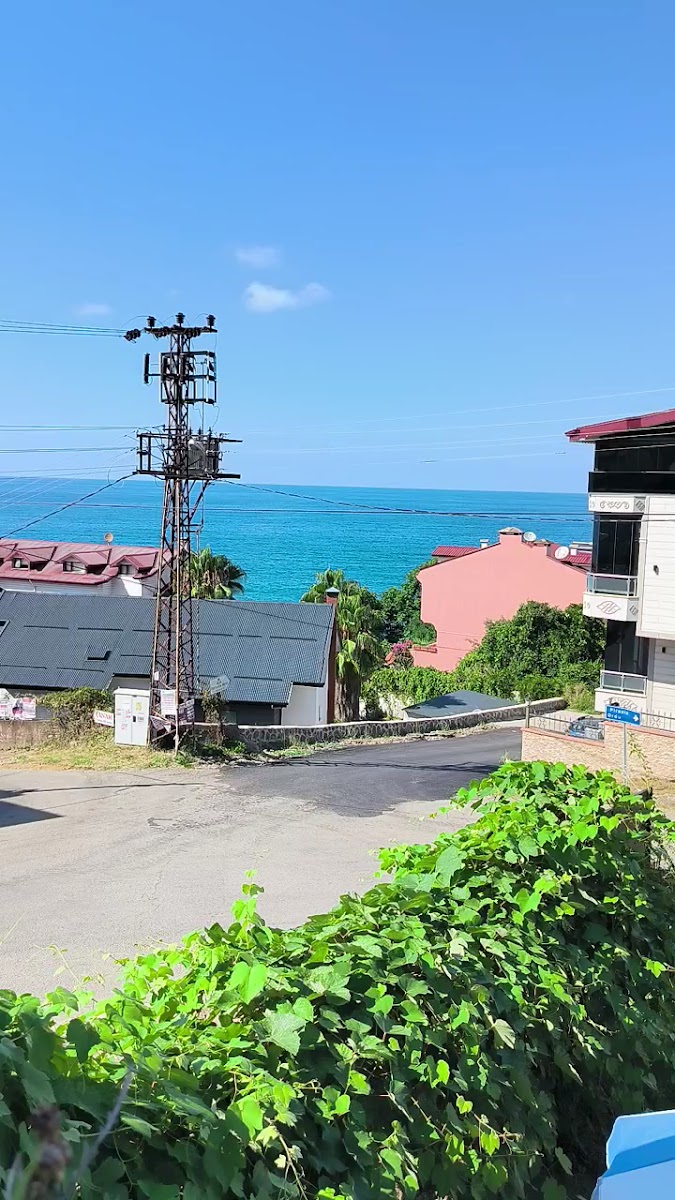 Piraziz Balıkçısı — fotoğraf 3