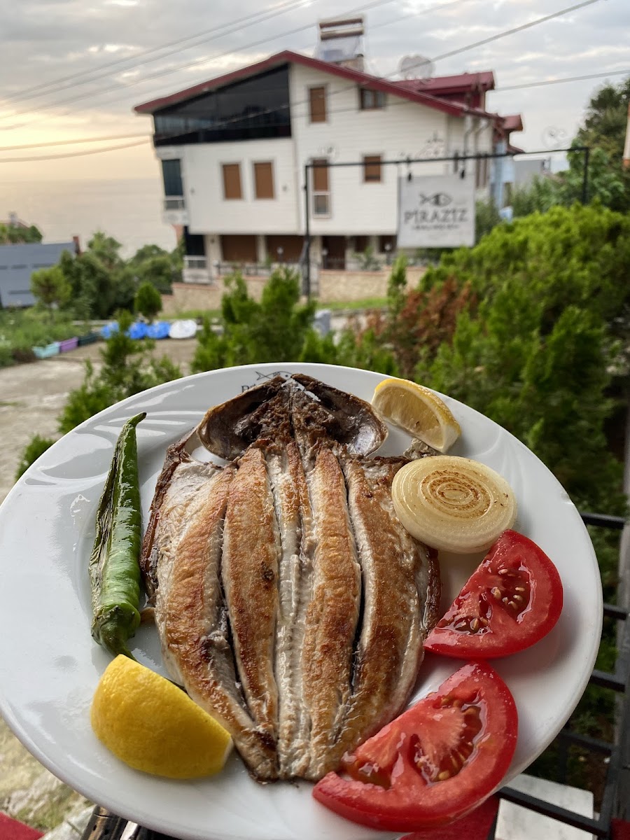 Piraziz Balıkçısı — fotoğraf 4