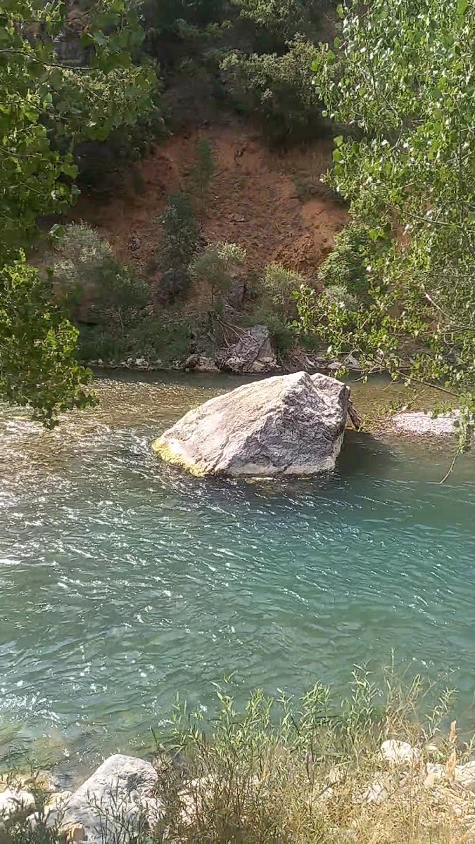Pironun yeri aile çay bahçesi ve lokanta — fotoğraf 3
