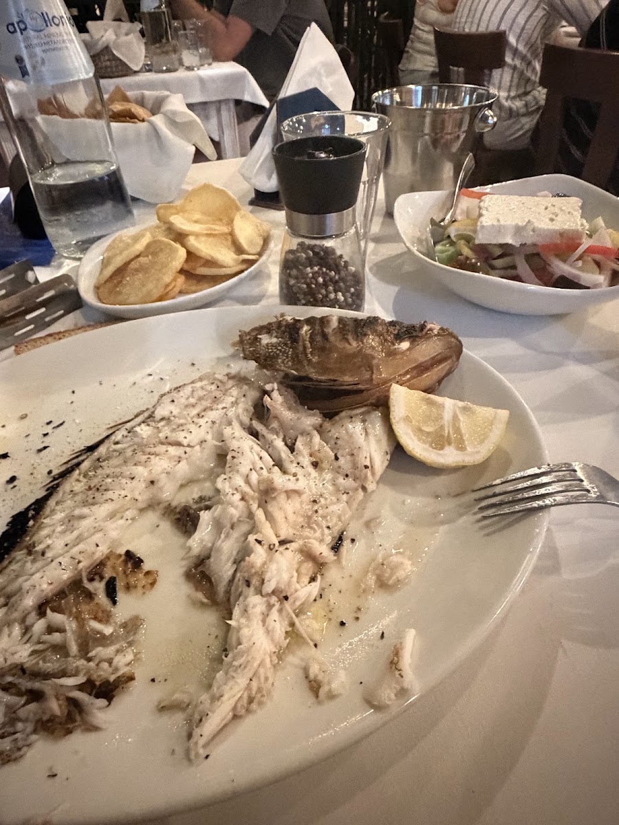 Pizanias The Sea Star — photo 3