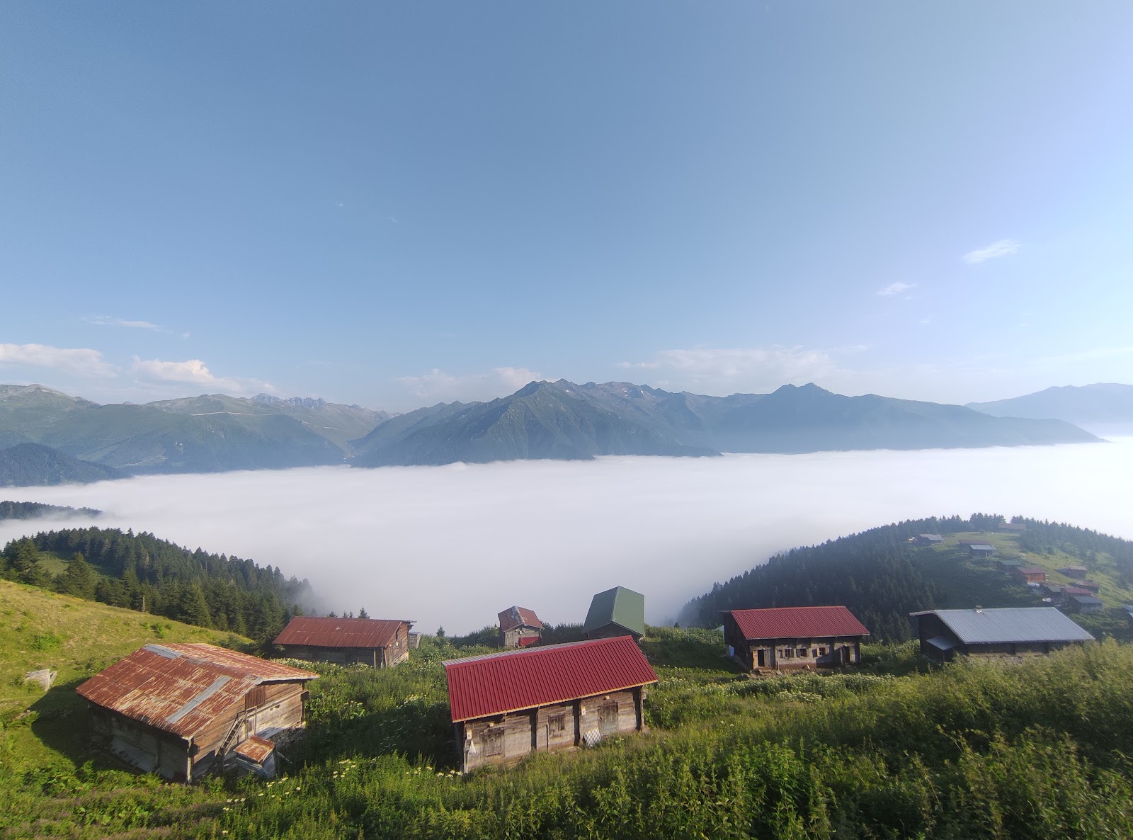 POKUT — fotoğraf
