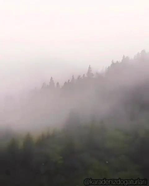 POKUT — fotoğraf 2