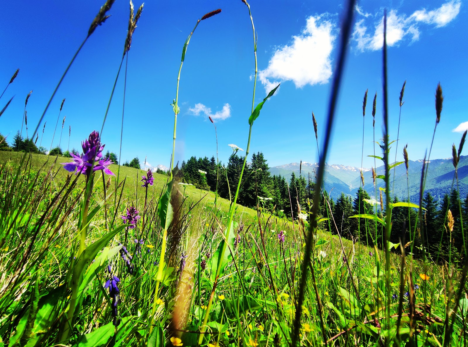 POKUT — fotoğraf 4