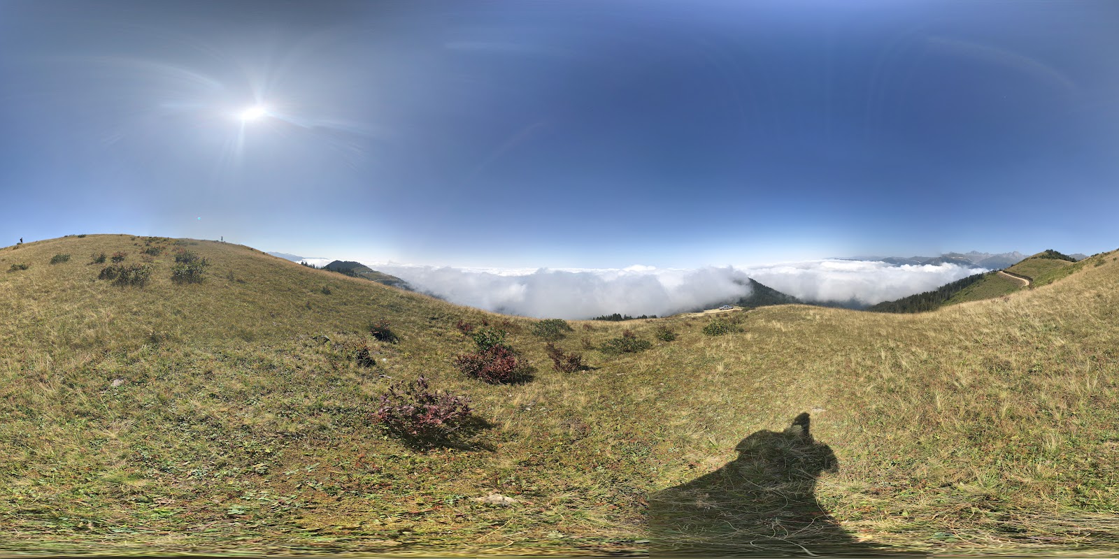 POKUT — fotoğraf 5
