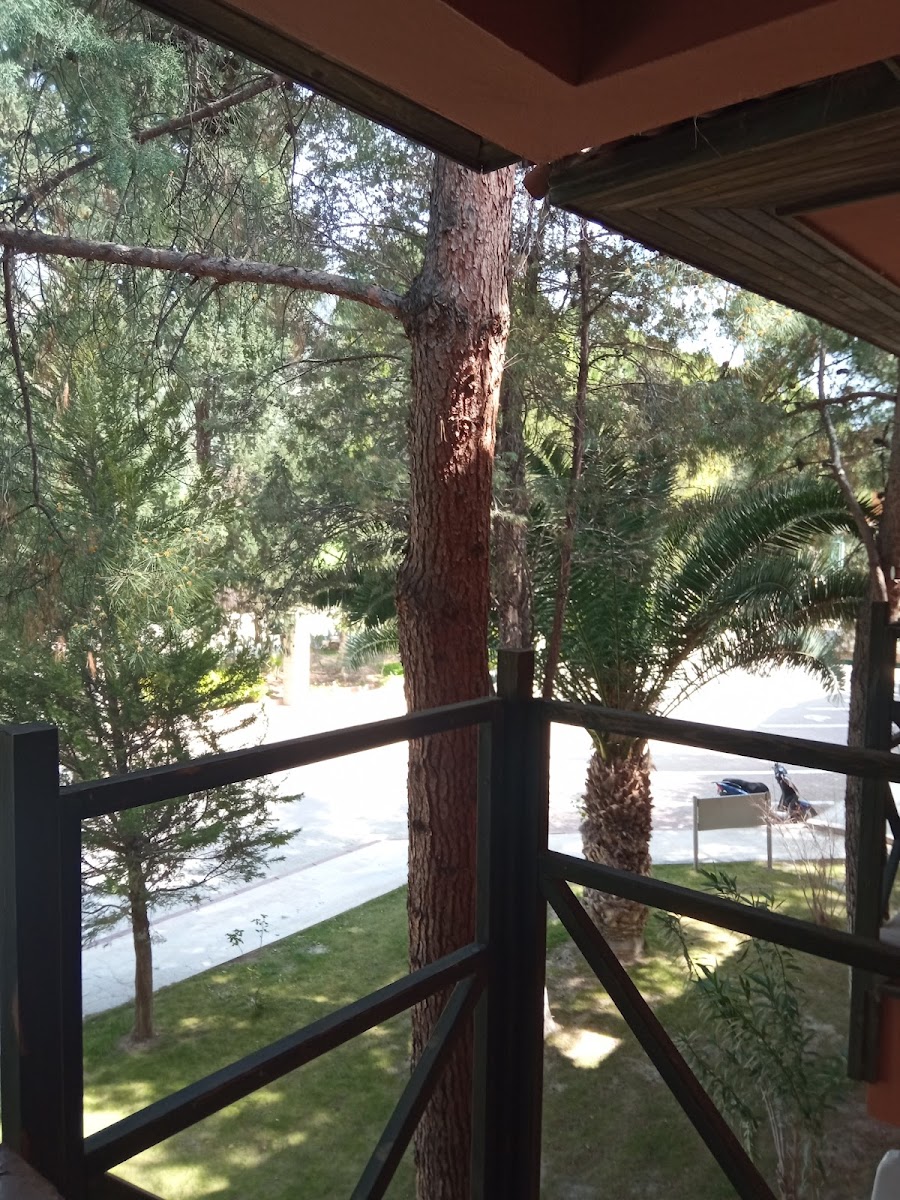 Polat Thermal Hotel — fotoğraf 2