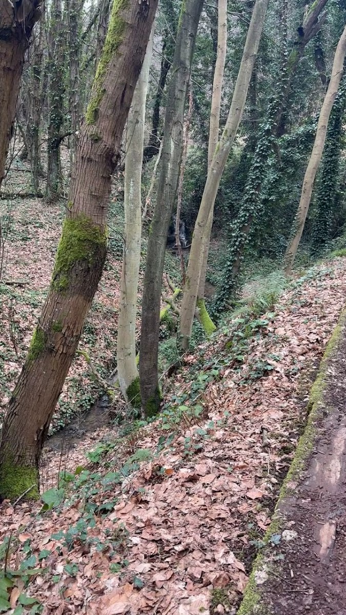 Polonezköy Tabiat Parkı — fotoğraf 3