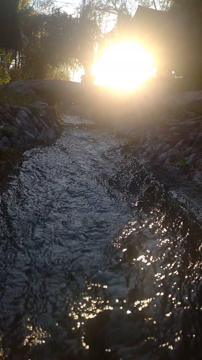 Porsuk Et Mangal — fotoğraf 3